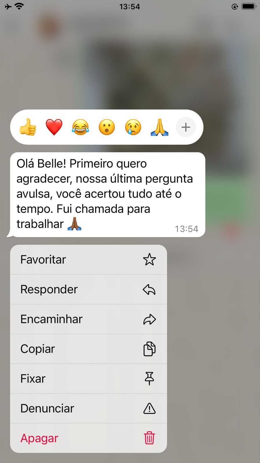 WhatsApp Image 2025-01-16 at 17.54.50